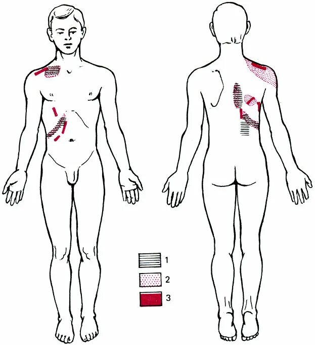 массаж органов пищеварения