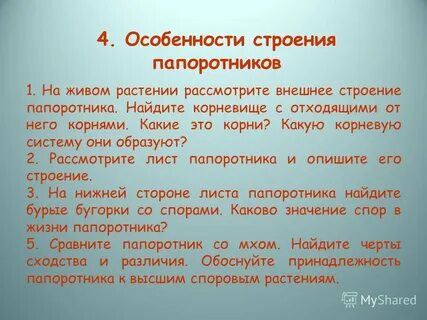 Обосновать принадлежность папоротника к высшим растениям