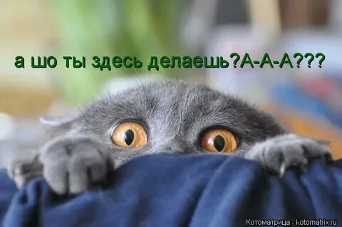 А что ты здесь делала