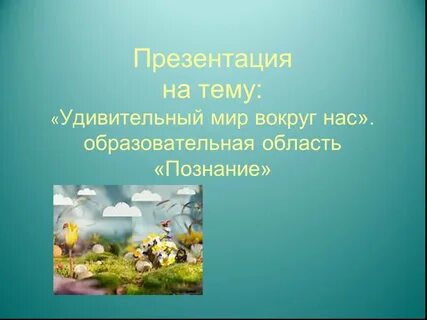 Тем удивительный мир
