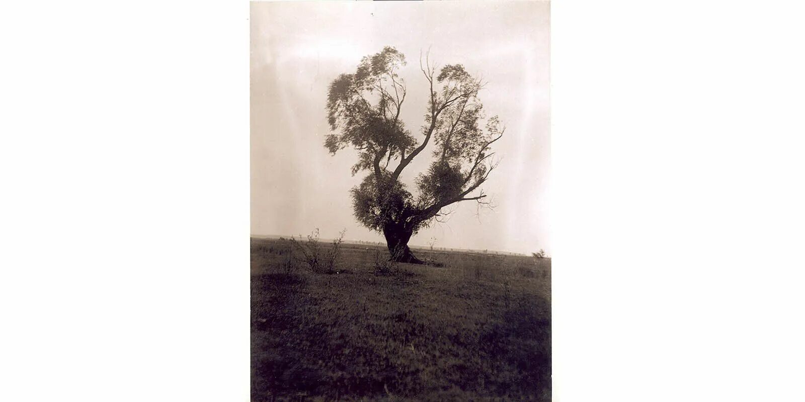 Паустовский гроза. Паустовский в детстве. Ник Паустовский фотограф.