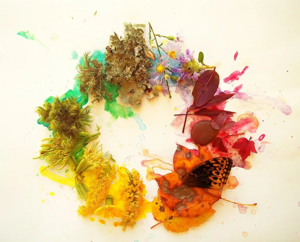 Colorful nature Painting. Colorful nature. Color Wheel Watercolor Pigments. Color Wheel Paints Pigments. Fall collection