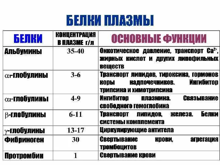 Белки плазмы человека. Транспортные белки плазмы. Белки плазмы человека. Белки плазмы человека. Количество белков в плазме крови.