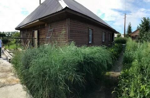 Дом село павловск алтайский край
