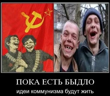 Пока красна