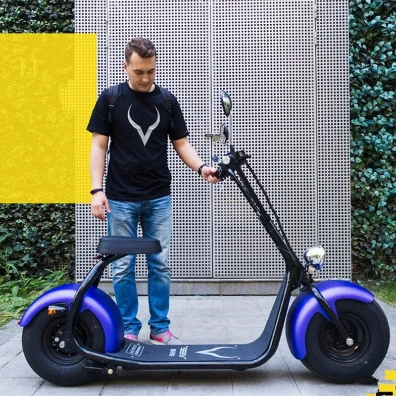 Электросамокат Balance Scooter. Самокат citycoco. Самокат lider Scooter Bike. Электросамокат el-Sport Mini citycoco.