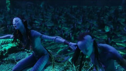 Avatar Shot-By-Shot Shot By Shot, Avatar Movie, James Cameron, Brave, Conce...