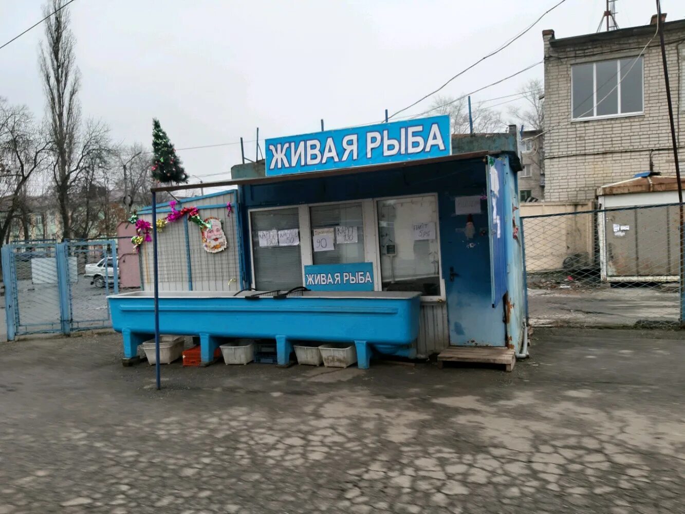 Продажа живой рыбы. Живая рыба. Живая рыба в магазине. Рыбный магазин с живой рыбой. Живая рыба на рынке.