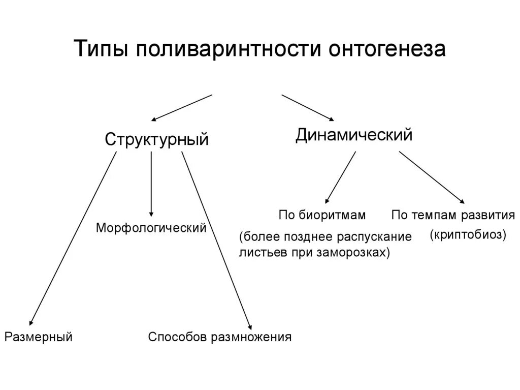 3 этапа онтогенеза. Онтогенез человека личиночный Тип. Онтогенез типы онтогенеза. Яйцекладный онтогенез характеристика. Личиночный Тип онтогенеза примеры.