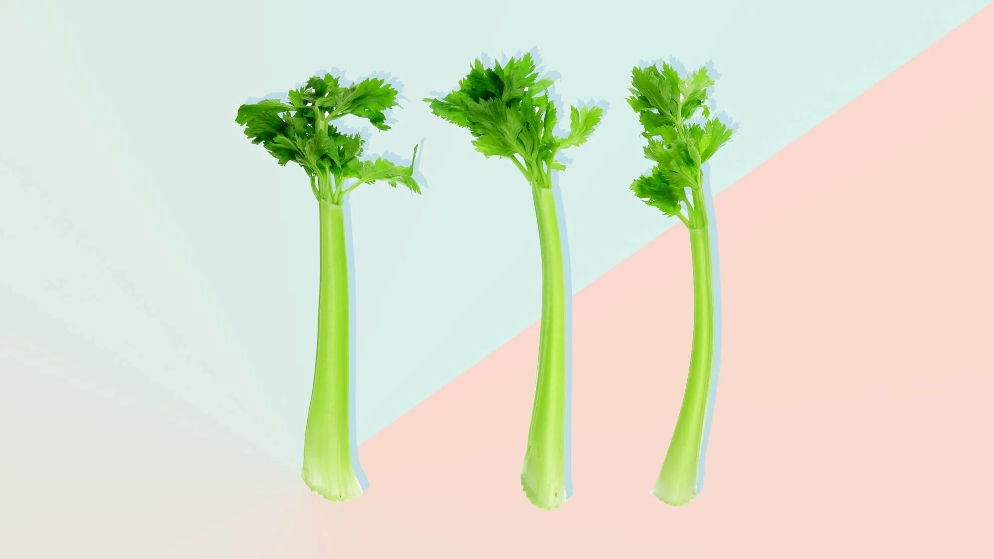 Celery scripts