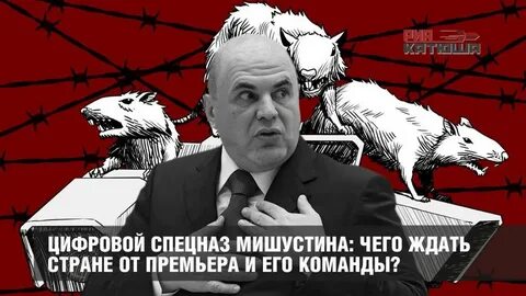 Вся страна ждет