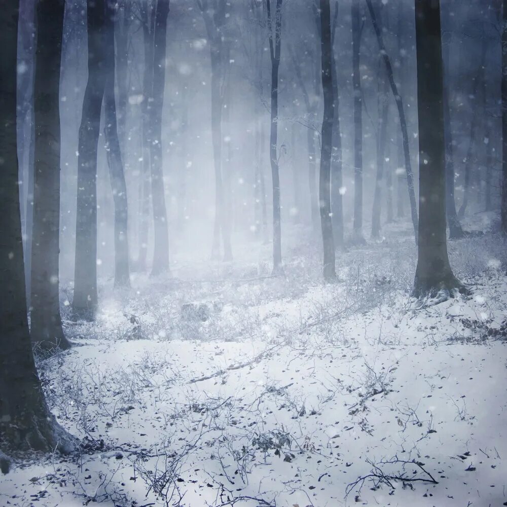 Slow fall. I slowly fall. I slowly fall. I slowly fall. Falling текст.