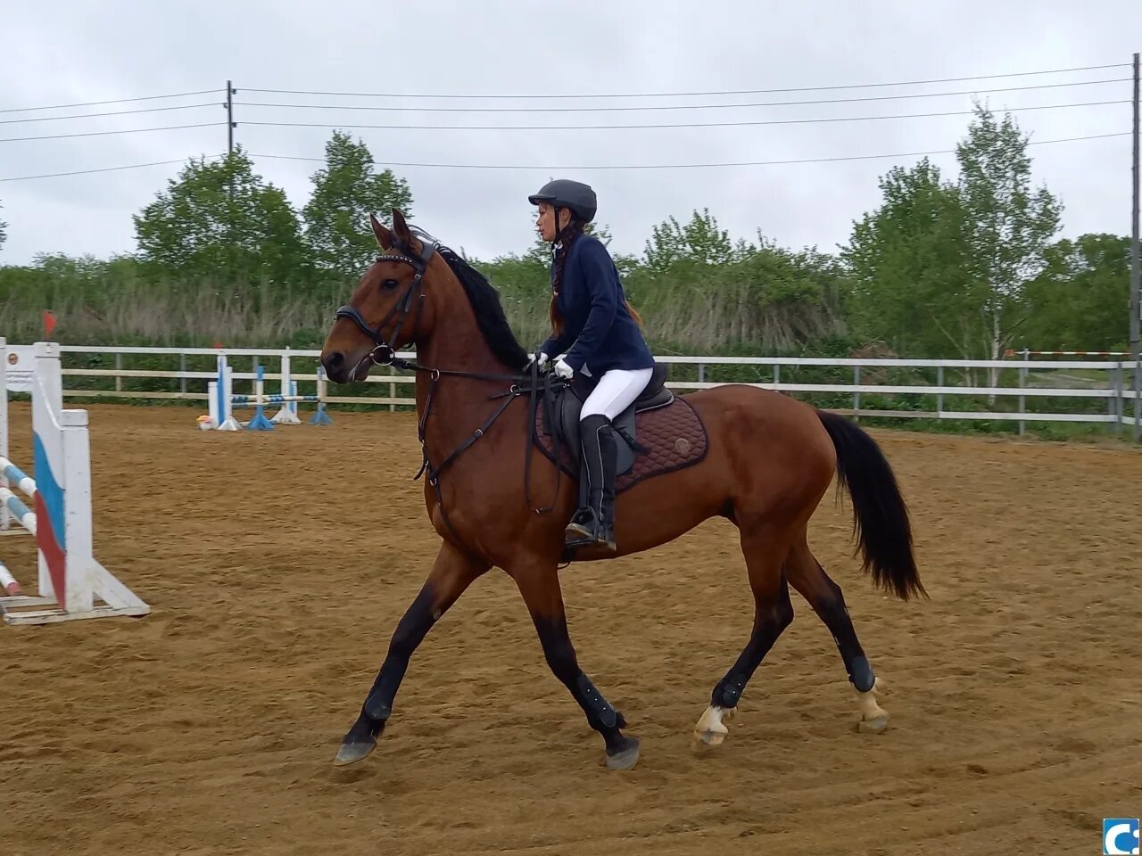 Конкур 2 метра. Соревнования по конкуру 2024. Кубок перми по конкуру. Всадник на лошади возрождение фото. Конкур соревнования.