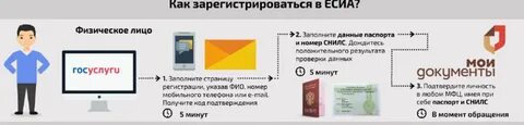 Регистрация в есиа юридического лица