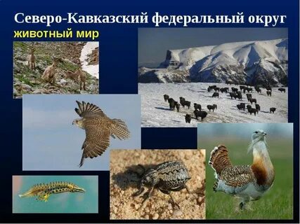Мир северного запада