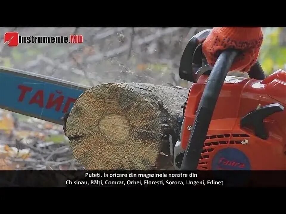 Пила потребления. Тайга ссм 580 бензопила. бензопила крона 202. бензопила уралмаш.