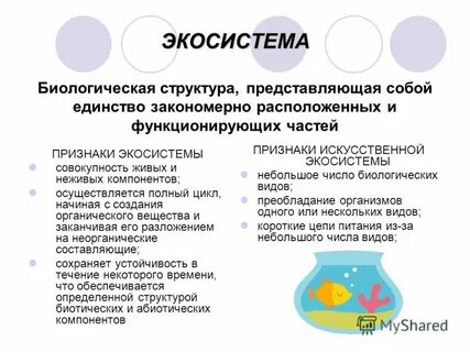 Три признака экосистемы