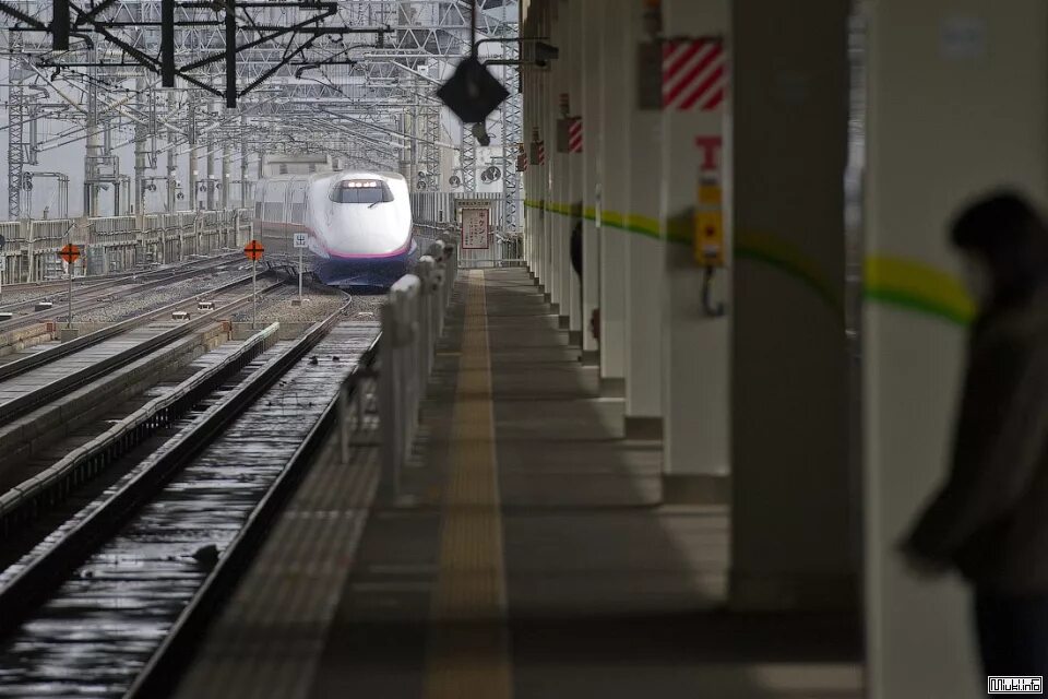 Электропоезд сеть. Электропоезд сеть. Эд9т 0010. М61 ржд. Эр2 1216.