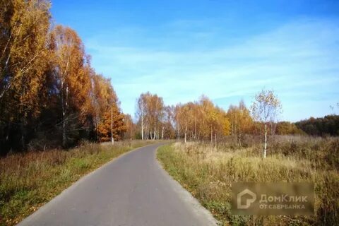 Деревня митино