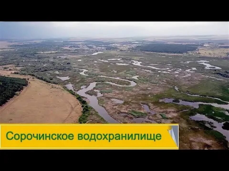 Вода в Сорочинском водохранилище стала зеленой из-за цветения водорослей - KP.RU