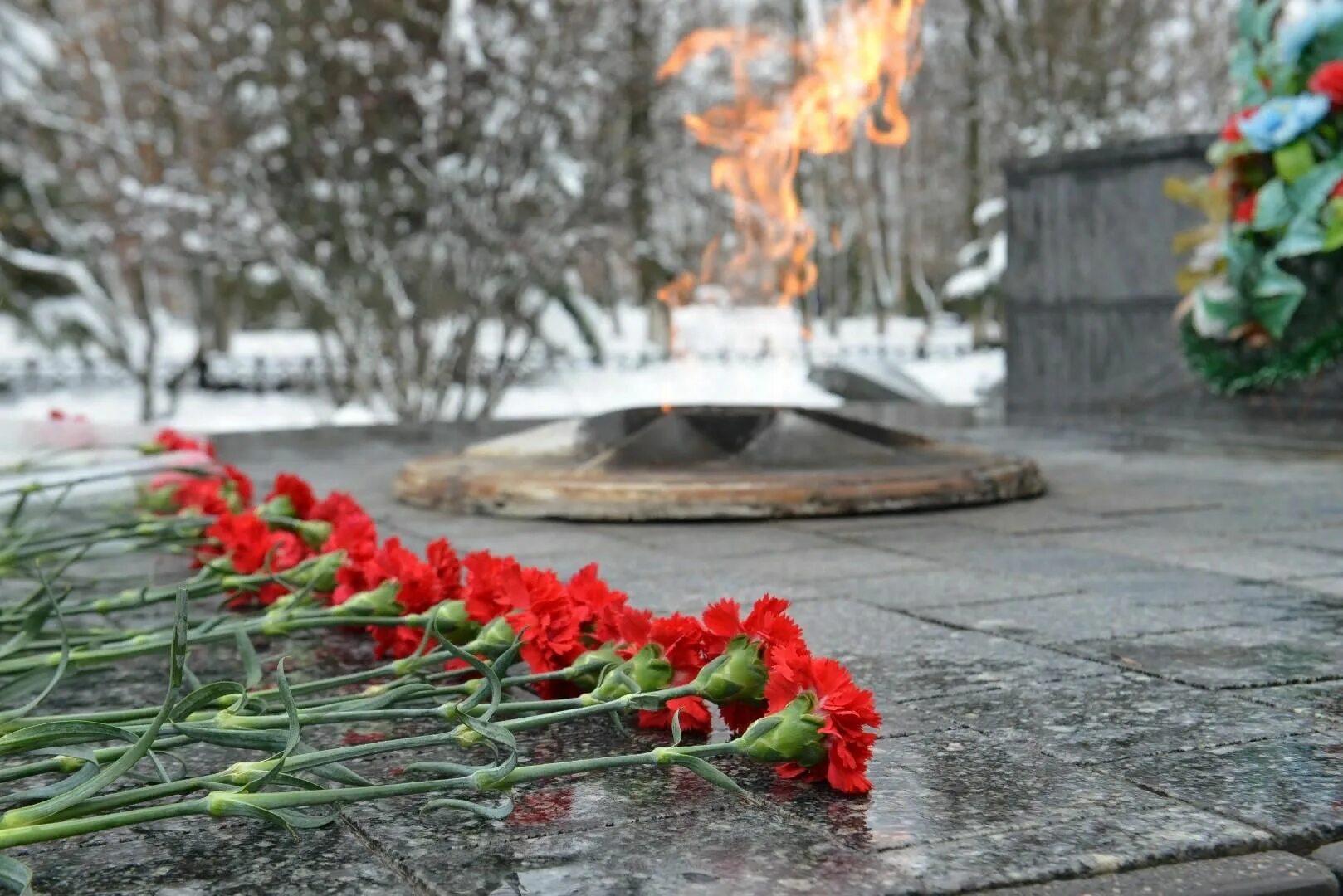 Дни памяти отмечаемые. 5 Декабря день неизвестного солдата. Могила неизвестного солдата Елец. 3 Декабря 2014 день неизвестного солдата. Неизвестному солдату 3 декабря.