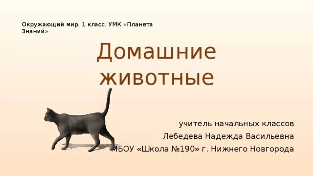 Проект домашние животные 1 класс окружающий Презентация "Животные дома"