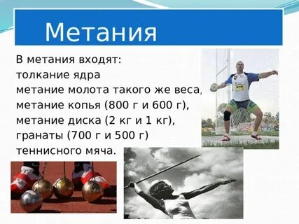 Мужское ядро весит