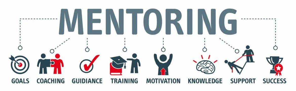 Mentor solution