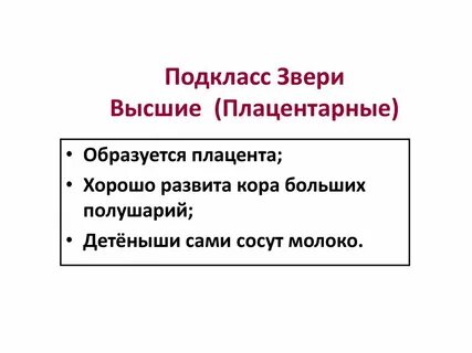 Высшие звери