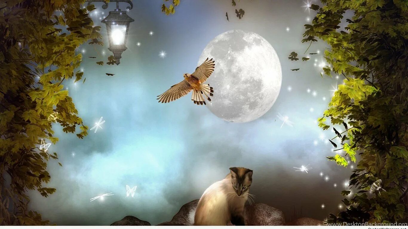 Спокойной ночи птицы. Фантастическая природа с животными. Сказочная ночь. Сказочный сон. Картины фэнтези природа и животные.