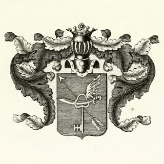 Род д