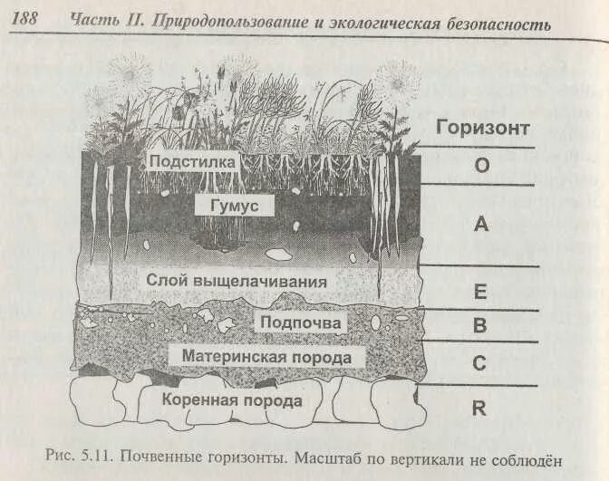 К материнской породе примыкает горизонт. Строение почвы слои. Слои почвы горизонты. Верхний Горизонт почвы. Схема почвы.