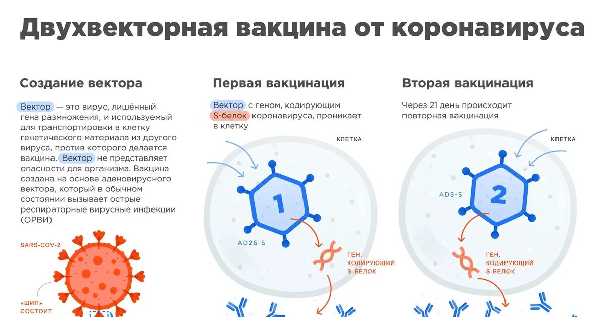Как подготовиться коронавирусу