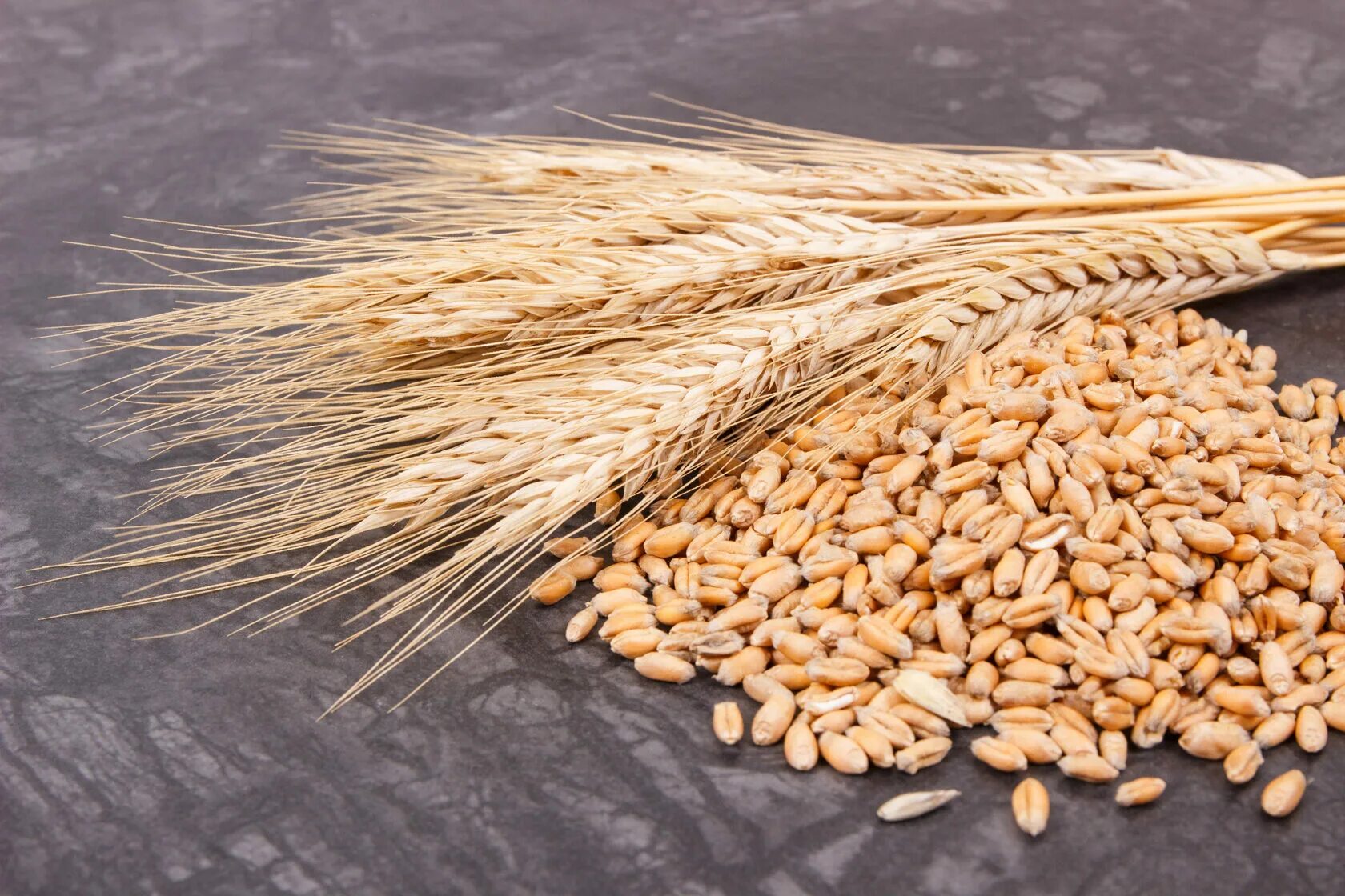 Пшеничное зернышко. Пшеница. Пшеница для детей. Зерновые культуры. Урожай пшеницы.
