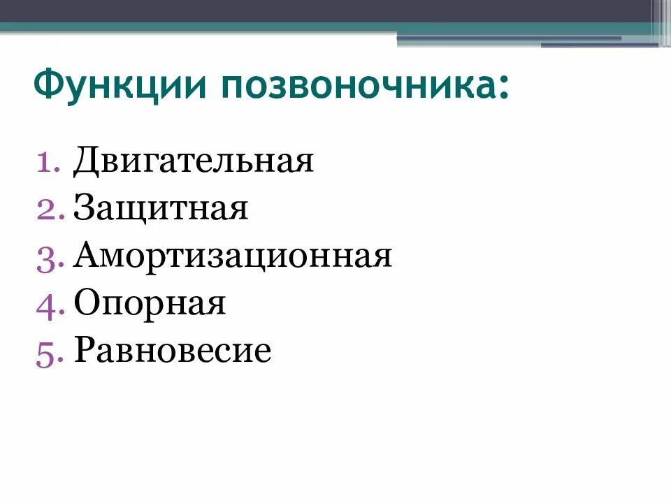 Функции позвоночных. Функции позвоночника. основные функции позвоночника. основные функции позвоночного столба. функции позвоночника человека.