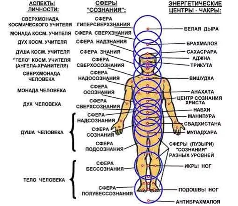 Схема энергетических чакр. Энергетическая система человека и чакры. 13 Чакровая система человека. Энергетические центры человека чакры схема. Части душа название