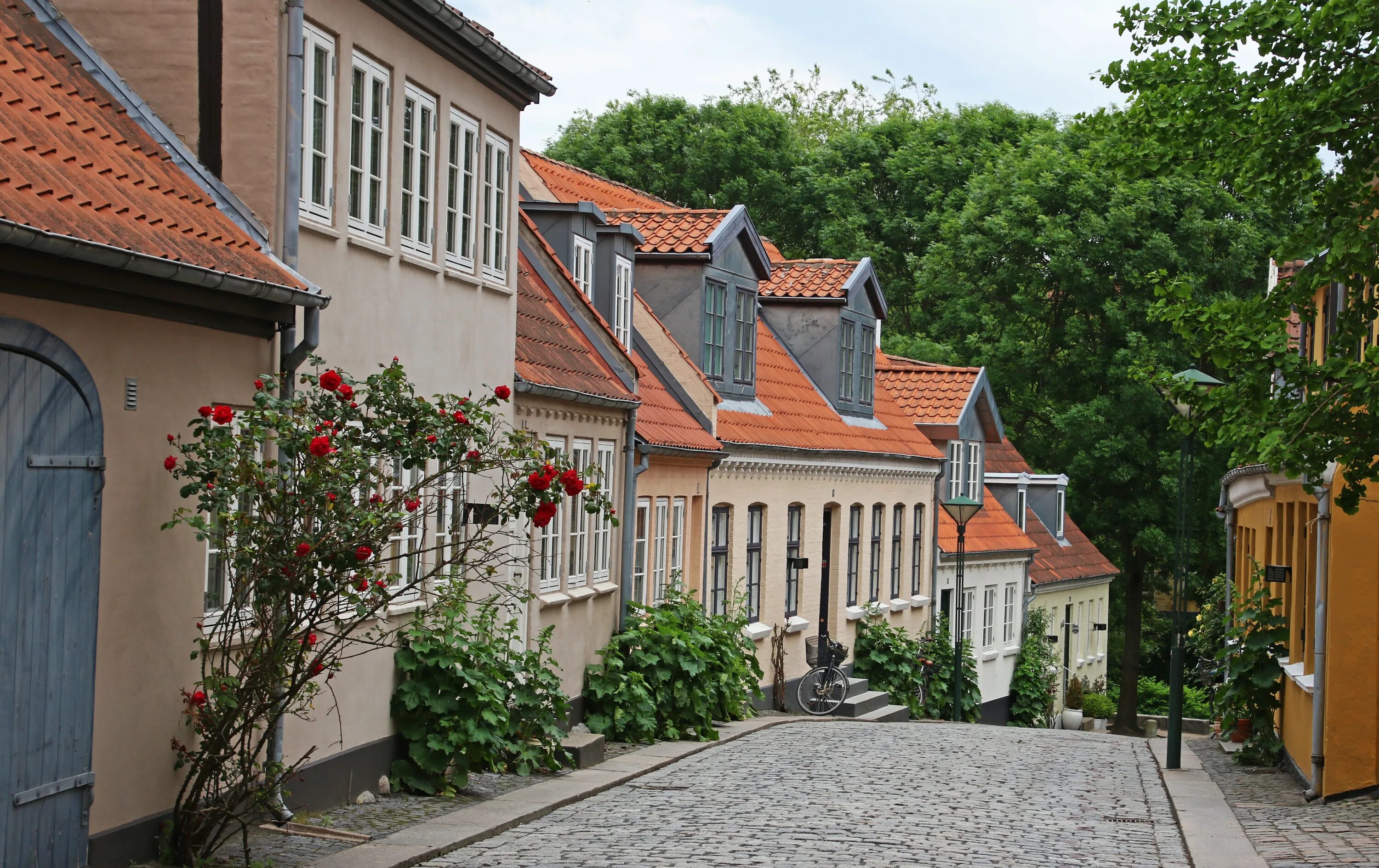 Дома по улице мостовой. Reihenhaus в Германии. Улица с крыши. Reihenhaus. В каком городе дом в в растениях.
