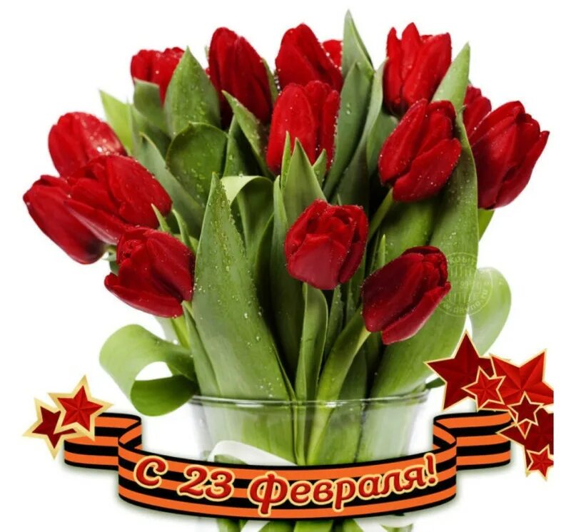 Поздравление с 23 февраля мамам родившим сыновей. Букет тюльпанов. С 23 февраля. С праздником 23 февраля. Цветы на 23 февраля.