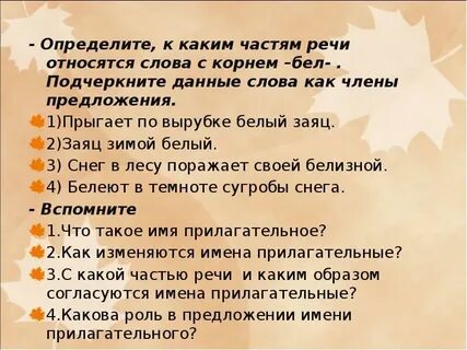Слова относящиеся к кошкам