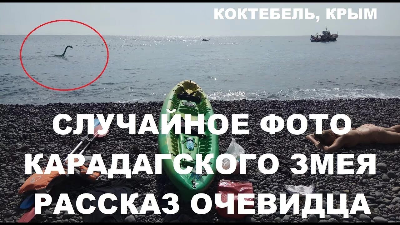 Карадагский змей блэкки