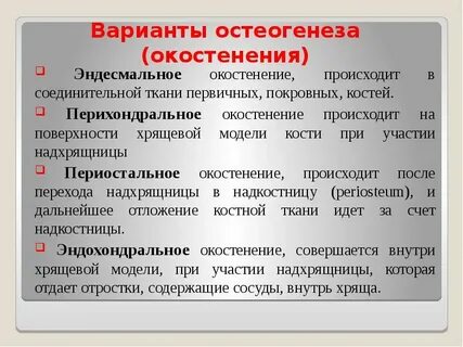 Перихондральное окостенение при непрямом остеогенезе