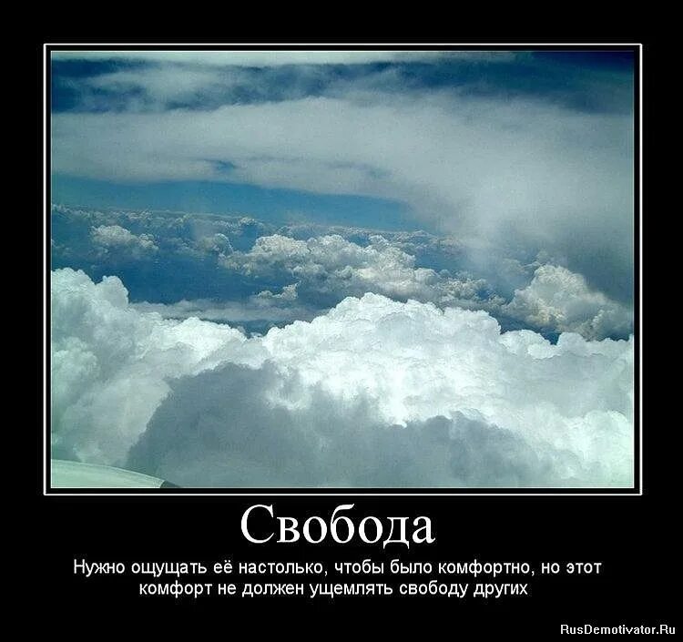 Чтобы быть свободным нужно. Свобода демотиваторы. Статусы про свободу. Свобода мотиватор. Демотиваторы про свободу со смыслом.