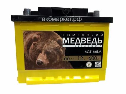Медведь 66 артемовский