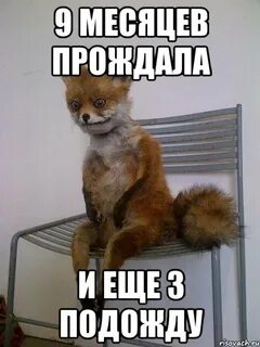 Подожди 3 дня