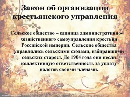 Единица общества