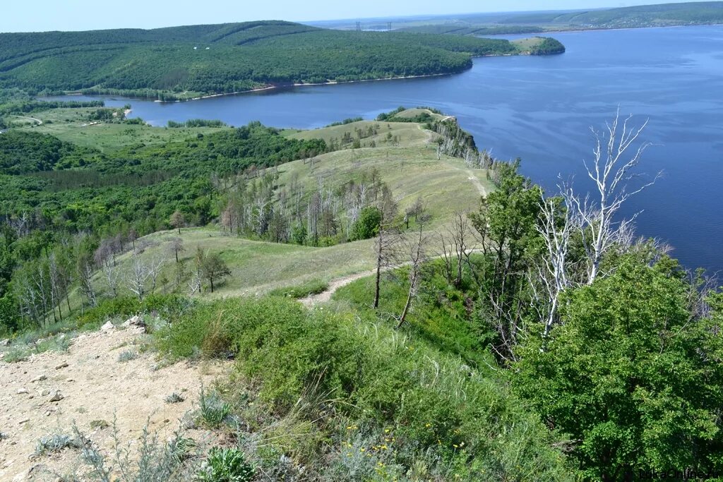 Сайт самарской луки. Жигулевские горы Молодецкий Курган. Гора Молодецкий Курган Самара.