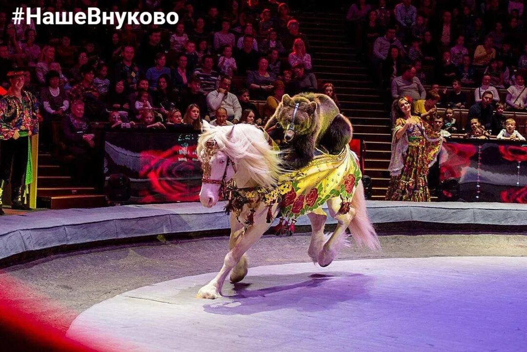 Цирк на вернадского легенда сколько длится представление. Московский цирк на вернадского. большой московский цирк на проспекте вернадского. московский цирк вернадского запашные. цирк на вернадского представление.