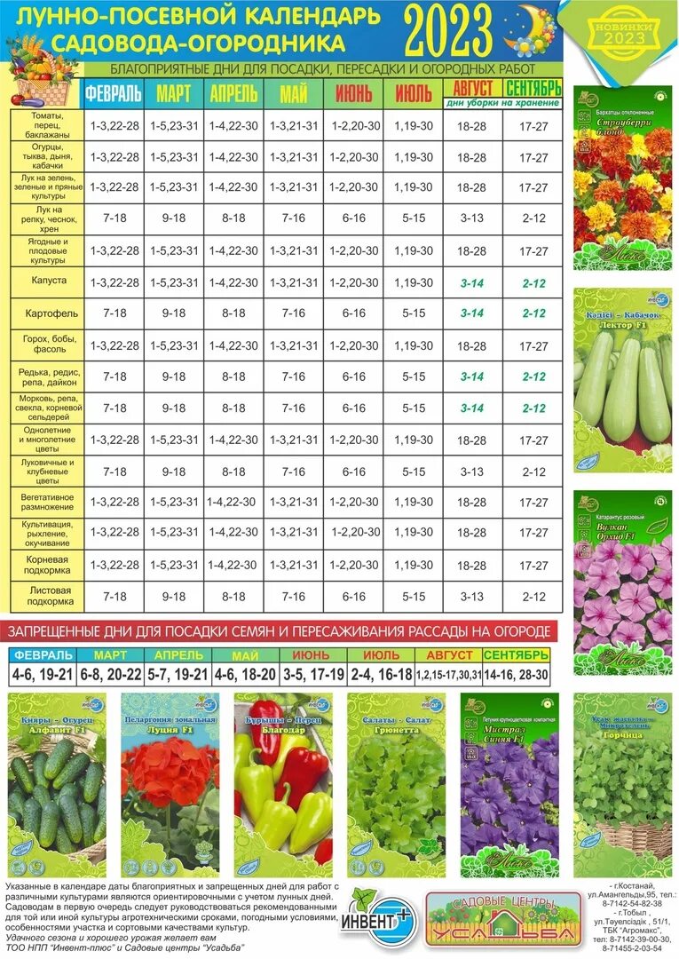 Неблагоприятные лунные дни для посадки. Посевной календарь на 2023 год по месяцам с фазами Луны. Лунный календарь на посадку рассады 2023. Календарь огородника на 2023 год лунный посевной. Лунный календарьпосеаной.