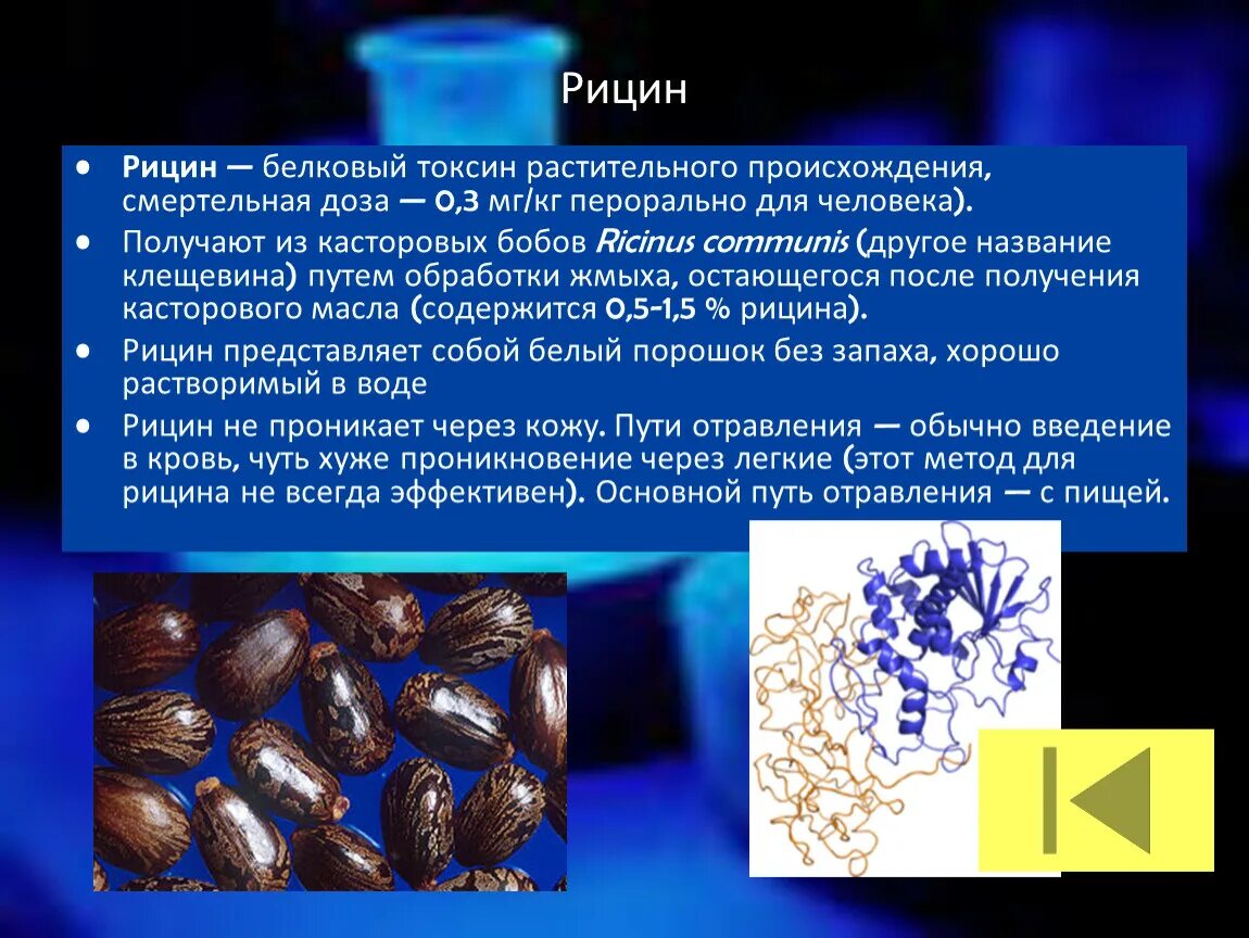 Соединения растительного происхождения. Токсины растительного происхождения. Рицин яд. Рицин порошок. Рицин яд растение.