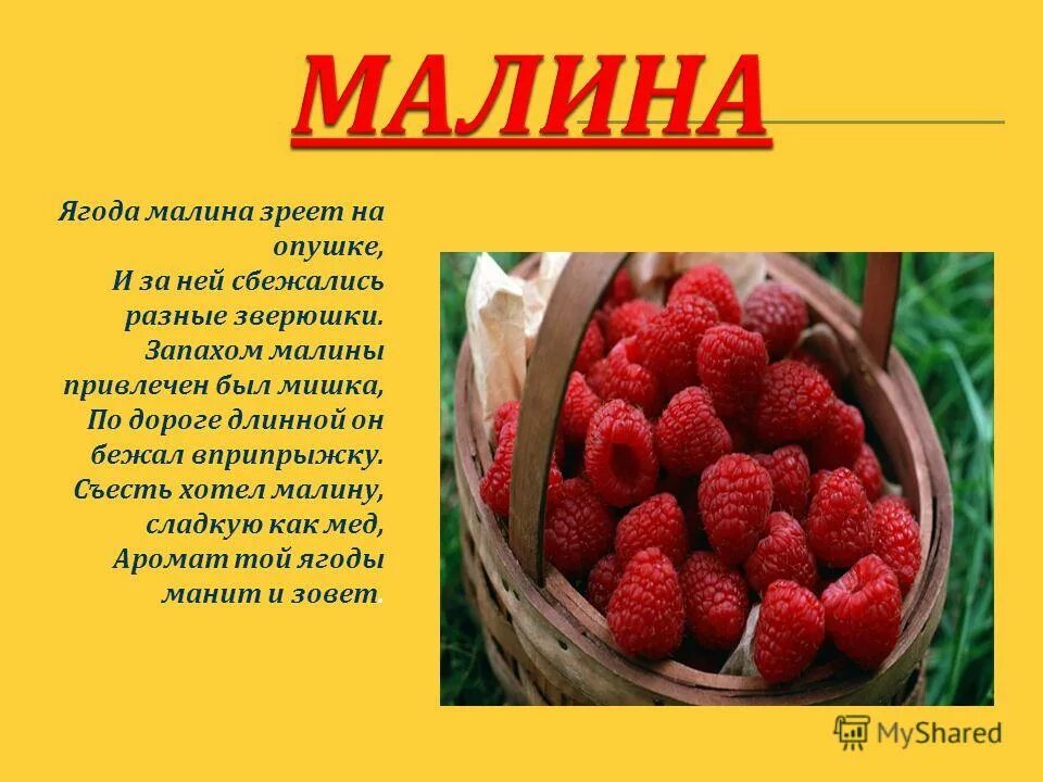она пахнет как малина